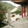向阳花的头像
