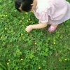 民兴茶庄的头像