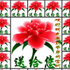 草原的头像