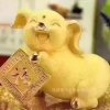 明月的头像