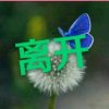 缘分的头像