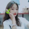 si  si的头像