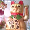 招财进宝的头像
