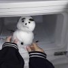 十里的头像