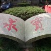 善若水暂退……的头像