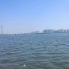 在水一方的头像