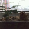 范范的头像