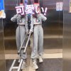 ♚ʚ沐晴ɞ的头像