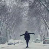 雨中清荷的头像