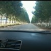 陌陌的头像