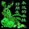 草木一秋的头像