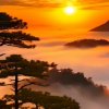 萧瑞友【暂退】的头像