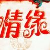 情缘的头像