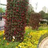 小高的头像