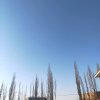 格格不追憋人的头像