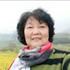  老马识途 的头像