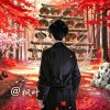 枫叶的头像