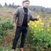 情歌王子的头像