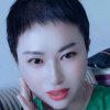 沙仑玫瑰