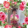 忘忧草[em]e400026[/em]黎明