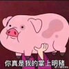 星月无边